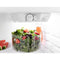 28-inch Top-freezer Refrigerator With Dairy Bin