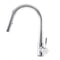 Arthur Pull Down Single Handle Kitchen Faucet In Chrome