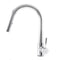 Arthur Pull Down Single Handle Kitchen Faucet In Chrome