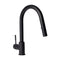 Autograph Edition Arthur Pull Down Single Handle Kitchen Faucet In Matte Black