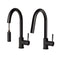 Autograph Edition Arthur Pull Down Single Handle Kitchen Faucet In Matte Black