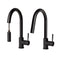 Autograph Edition Arthur Pull Down Single Handle Kitchen Faucet In Matte Black