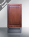 18" Wide Clear Outdoor Icemaker (Panel Not Included)