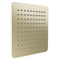 Autograph Edition Bliss 12 in. Rainfall Shower Head