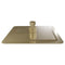 Autograph Edition Bliss 8 in. Rainfall Shower Head