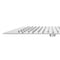 Bliss 8 in. Rainfall Shower Head
