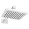 Bliss Rainfall Shower Faucet