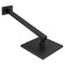 Autograph Edition Bliss Rainfall Shower Faucet