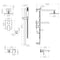 Autograph Edition Bliss Rainfall Shower System