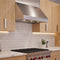 Breva Pro 18 48" Range Hood 1200 CFM