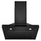 24 In. Convertible Vent Wall Mount Range Hood In Black Stainless Steel