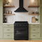 30 In. Convertible Vent Wall Mount Range Hood In Black Stainless Steel
