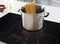 30" Induction Cooktop, 4 Elements, White Backlit, Red Bar, Bridge, Thinq®