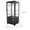17 in. Black Countertop Display Refrigerator - 3 Cu Ft