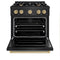 Autograph Edition 30 In. 4.2 Cu. Ft. Classic Dual Fuel Range With 4 Burner Gas Cooktop And Electric Convection Oven In Black Stainless Steel With Champagne Bronze Accents