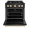 Autograph Edition 30 In. 4.2 Cu. Ft. Classic Dual Fuel Range With 4 Burner Gas Cooktop And Electric Convection Oven In Black Stainless Steel With Polished Gold Accents