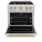 Autograph Edition 30 In. 4.2 Cu. Ft. Classic Dual Fuel Range With 4 Burner Gas Cooktop And Electric Convection Oven In Stainless Steel With Polished Gold Accents