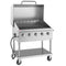 36 in. Commercial Outdoor Propane Gas Grill with Roll Dome Cover in Stainless Steel