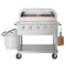 36 in. Commercial Outdoor Propane Grill With Pizza Oven in Stainless-Steel