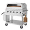 36 in. Commercial Outdoor Propane Grill With Pizza Oven in Stainless-Steel