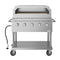 36 in. Commercial Outdoor Propane Grill With Pizza Oven in Stainless-Steel