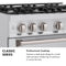 30 In. 4.2 Cu. Ft. Classic Gas Range With 4 Burner Cooktop And Convection Gas Oven In Stainless Steel
