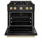 Autograph Edition 30 In. 4.2 Cu. Ft. Classic Gas Range With 4 Burner Cooktop And Convection Gas Oven In Black Stainless Steel And Champagne Bronze Accents