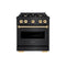 Autograph Edition 30 In. 4.2 Cu. Ft. Classic Gas Range With 4 Burner Cooktop And Convection Gas Oven In Black Stainless Steel And Polished Gold Accents