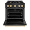 Autograph Edition 30 In. 4.2 Cu. Ft. Classic Gas Range With 4 Burner Cooktop And Convection Gas Oven In Black Stainless Steel And Polished Gold Accents