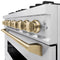 Autograph Edition 36 In. 5.2 Cu. Ft. Classic Gas Range With 6 Burner Cooktop And Convection Gas Oven In Satin Stainless Steel And Champagne Bronze Accents