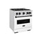 Autograph Edition 30 In. 4.2 Cu. Ft. Classic Gas Range With 4 Burner Cooktop And Convection Gas Oven In Satin Stainless Steel With White Matte Door And Matte Black Accents