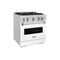 30 In. 4.2 Cu. Ft. Classic Gas Range With 4 Burner Cooktop And Convection Gas Oven In Stainless Steel With White Matte Door