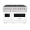 48 In. 6.7 Cu. Ft. Classic Double Oven Gas Range With 8 Burner Cooktop In Stainless Steel With White Matte Doors