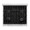 Autograph Edition 30 In. 4.2 Cu. Ft. Classic Gas Range With 4 Burner Cooktop And Convection Gas Oven In Stainless Steel And Champagne Bronze Accents