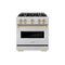 Autograph Edition 30 In. 4.2 Cu. Ft. Classic Gas Range With 4 Burner Cooktop And Convection Gas Oven In Stainless Steel And Champagne Bronze Accents