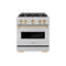 Autograph Edition 30 In. 4.2 Cu. Ft. Classic Gas Range With 4 Burner Cooktop And Convection Gas Oven In Stainless Steel And Polished Gold Accents