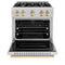 Autograph Edition 30 In. 4.2 Cu. Ft. Classic Gas Range With 4 Burner Cooktop And Convection Gas Oven In Stainless Steel And Polished Gold Accents