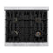 Autograph Edition 30 In. 4.2 Cu. Ft. Classic Gas Range With 4 Burner Cooktop And Convection Gas Oven In Stainless Steel And Polished Gold Accents