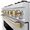 Autograph Edition 36 In. 5.2 Cu. Ft. Classic Gas Range With 6 Burner Cooktop And Convection Gas Oven In Stainless Steel And Champagne Bronze Accents
