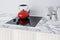 21" Wide 230V 2-Burner Radiant Cooktop