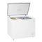 10.0 Cu. Ft. Chest Freezer