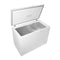 10.0 Cu. Ft. Chest Freezer