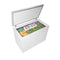 10.0 Cu. Ft. Square Model Chest Freezer