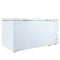 17.1 Cu. Ft. Chest Freezer 2 Door