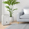 30 Pint Dehumidifier