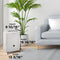 30 Pint Dehumidifier