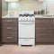 20″ Wide Electric Range