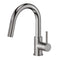 Dante Pull Down Single Handle Kitchen Faucet In Brushed Nickel