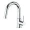 Dante Pull Down Single Handle Kitchen Faucet In Chrome