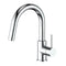 Dante Pull Down Single Handle Kitchen Faucet In Chrome